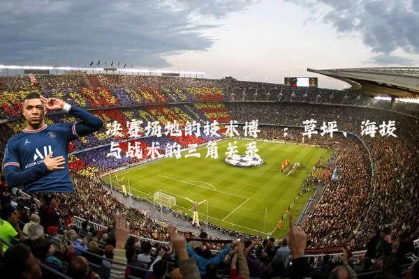 决赛场地的技术博弈：草坪、海拔与战术的三角关系